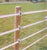 5 Rolls of Gallagher 1.5" 656' Turbo Tape - Gallagher Electric Fence