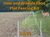 Gallagher 3D Deer and wildlife food plot fencing kit with a deer in a field, text indicating 1 acre coverage.