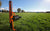 Gallagher Smartfence set up in a livestock pasture