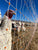 Premier electric fence chicken turkey and poultry netting on a turkey farm