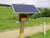 Gallagher Electric Fence energizer system connected on cattle farm with green grass