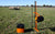 Gallagher Smartfence2 with electric fence in sheep field