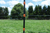 Gallagher 47" Insulated Fence Posts, Clips & Driver from Gallagher Electric Fence on cattle farm
