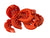 Orange Gallagher Electric Fence insulators