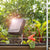 Gallagher S6 Solar fence charger in sunlight