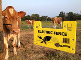 Dairy cows with Gallagher Electric Fence Warning Sign