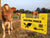 Gallagher Electric Fence Warning Sign with cattle in field