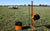 Gallagher Smartfence Portable Fence sheep field with battery powered energizer
