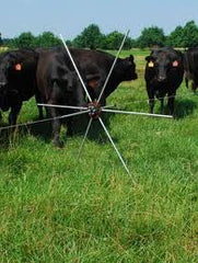 Black Angus cattle along Gallagher Tumble Wheel Electric Fence